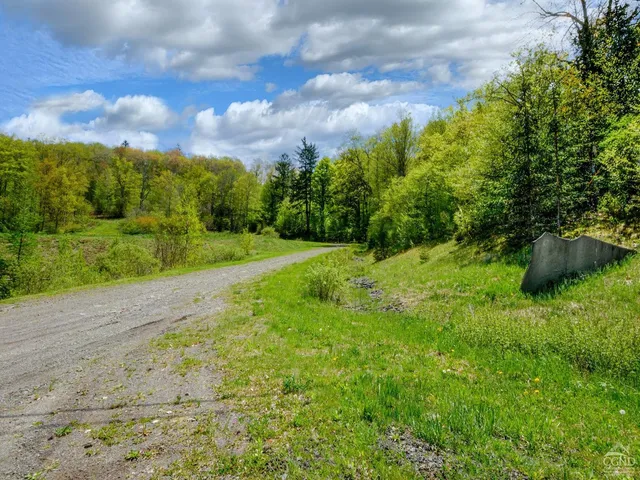 a view of a field with trees
