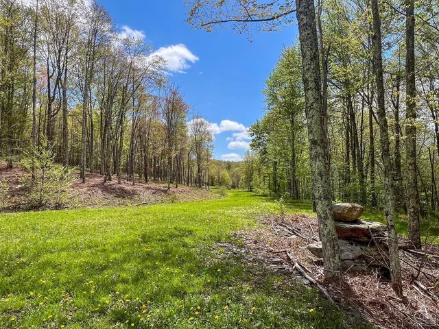 a view of a yard with a tree