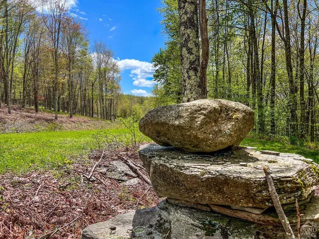 a view of an outdoor space and a yard