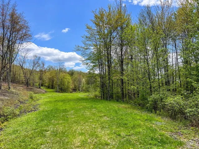 a view of outdoor space with lots of trees