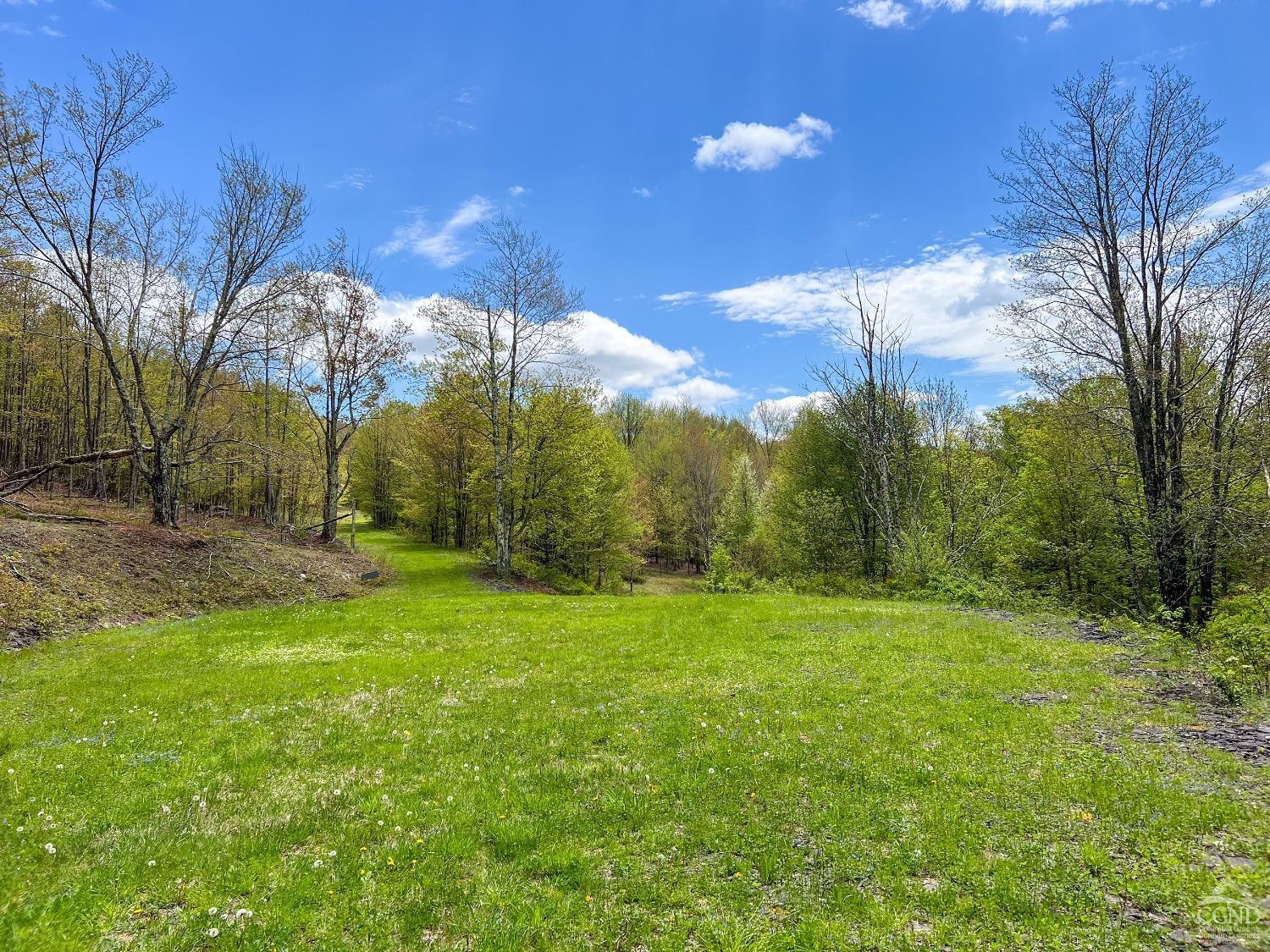 0 State Highway Andes, NY 13731 - Photo 25 of 90 a view of a yard with a house