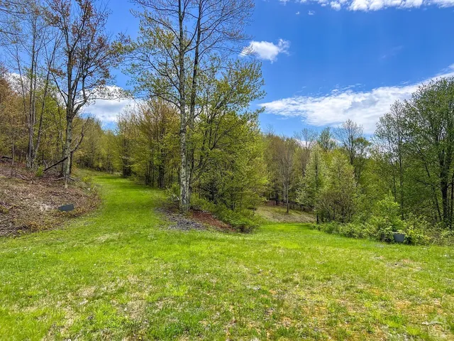 a big yard with lots of green space and house