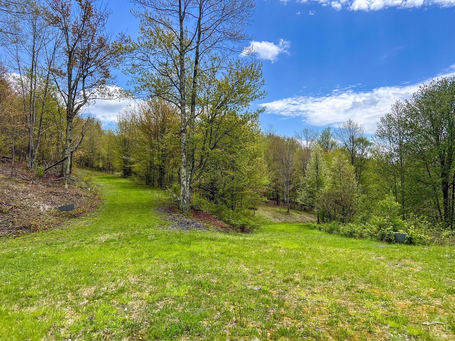0 State Highway Andes, NY 13731 - Photo 26 of 90 a view of an outdoor space and yard