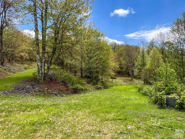 a big yard with lots of green space and trees