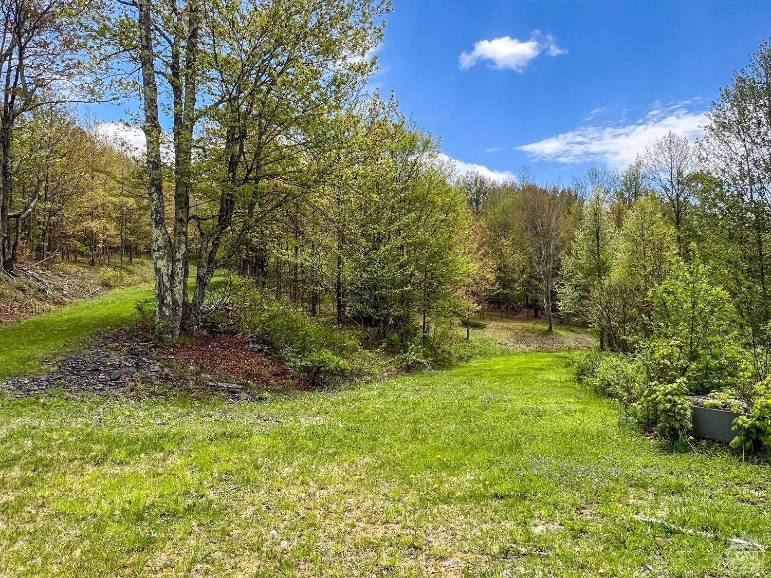 0 State Highway Andes, NY 13731 - Photo 27 of 90 a view of a yard with a tree