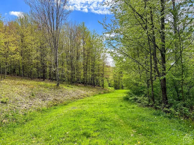 a view of outdoor space with green field and trees all around