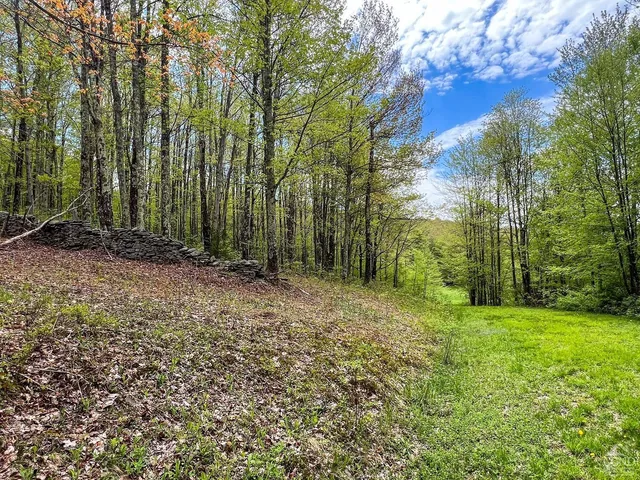 a view of outdoor space and trees