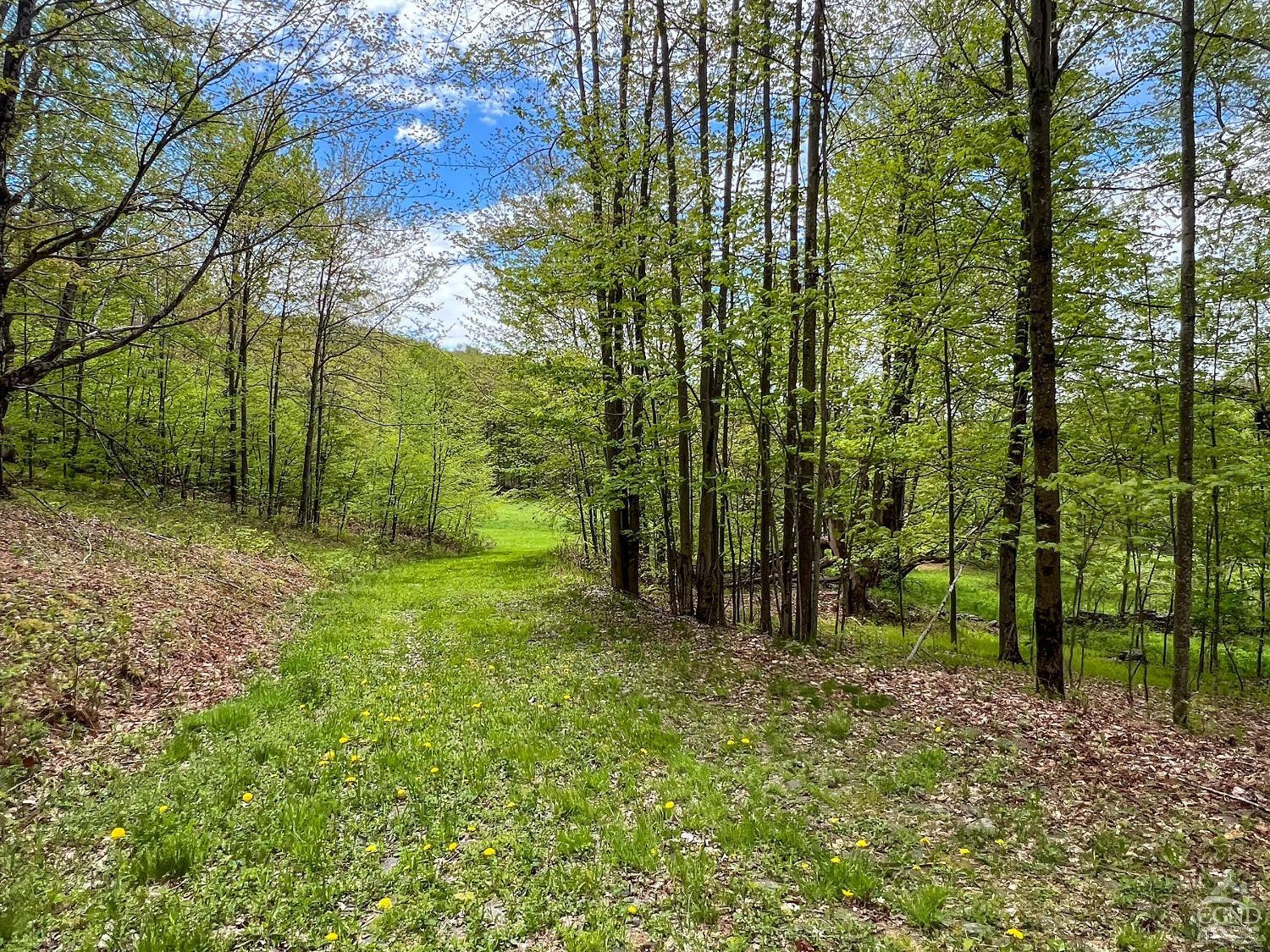 0 State Highway Andes, NY 13731 - Photo 30 of 90 Photo 30
