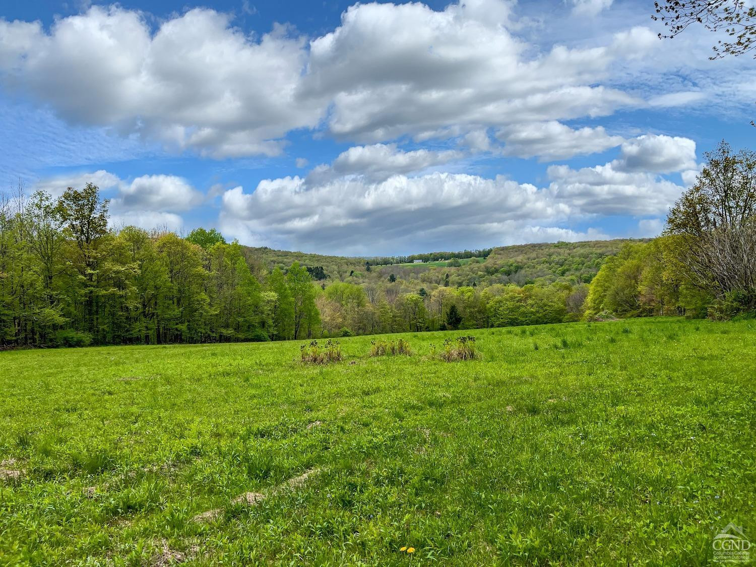 0 State Highway Andes, NY 13731 - Photo 31 of 90 a view of an outdoor space and a yard