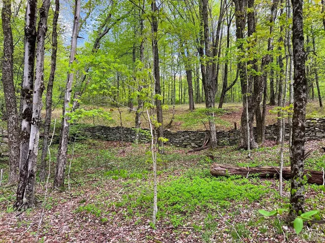 a view of a yard with a house in the background