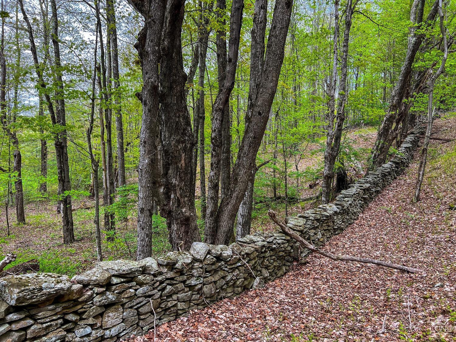 0 State Highway Andes, NY 13731 - Photo 36 of 90 Photo 36