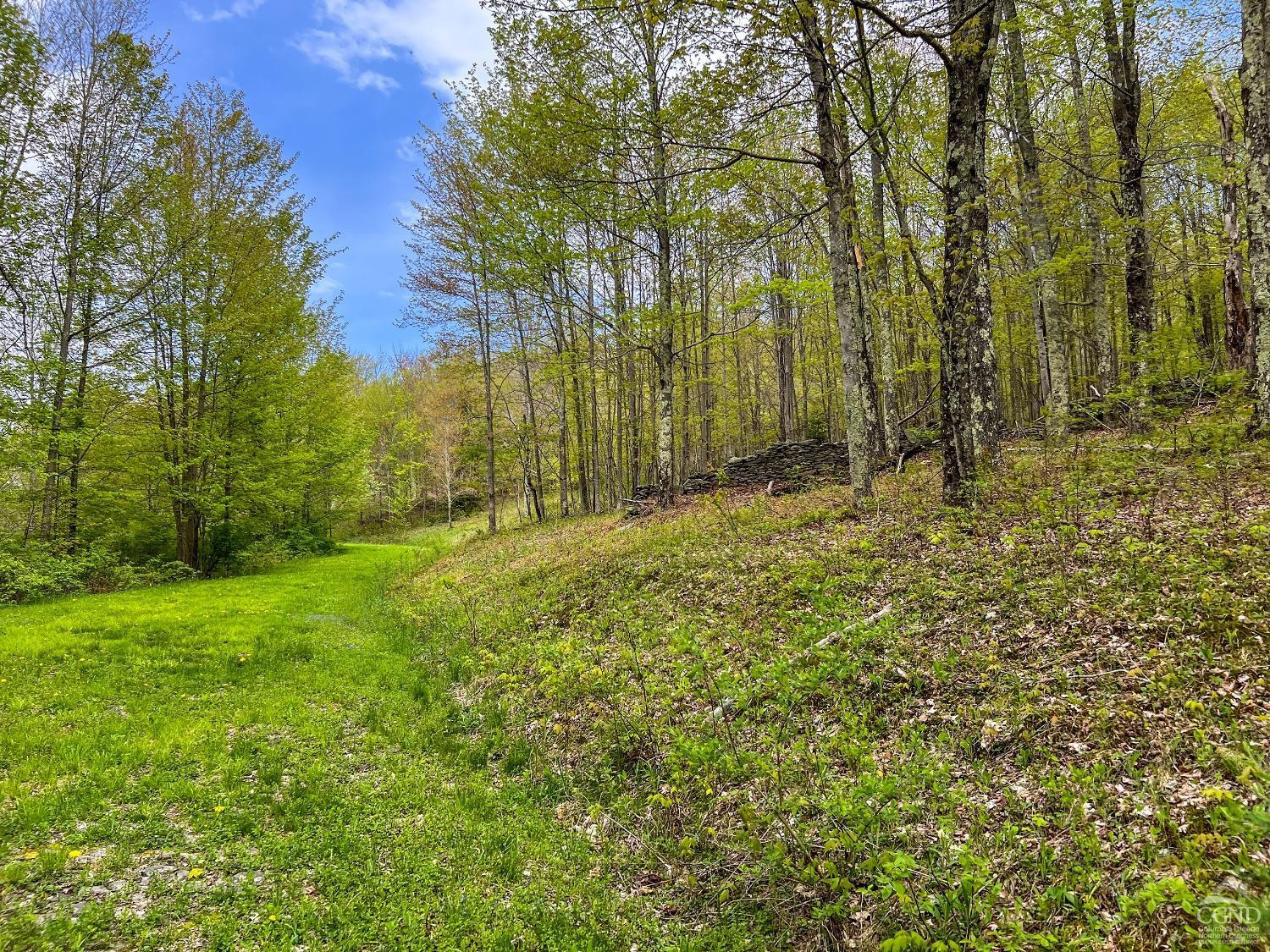 0 State Highway Andes, NY 13731 - Photo 38 of 90 a big yard with lots of green space and house