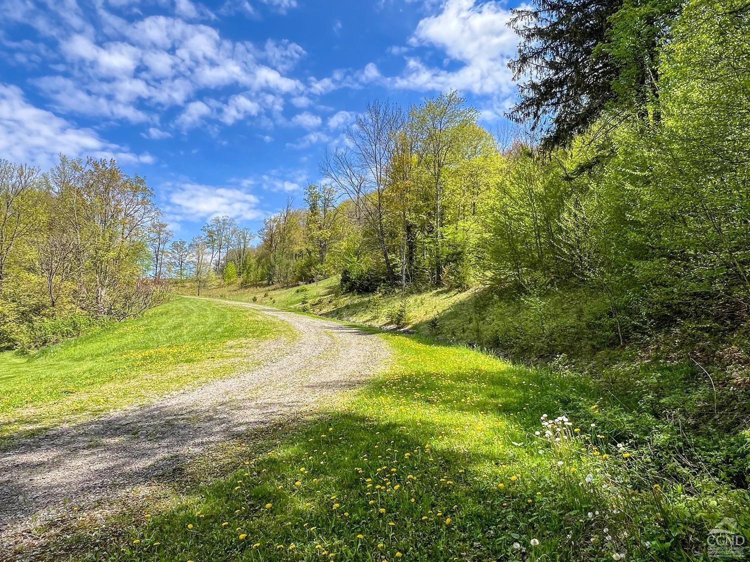 0 State Highway Andes, NY 13731 - Photo 4 of 90 Photo 4