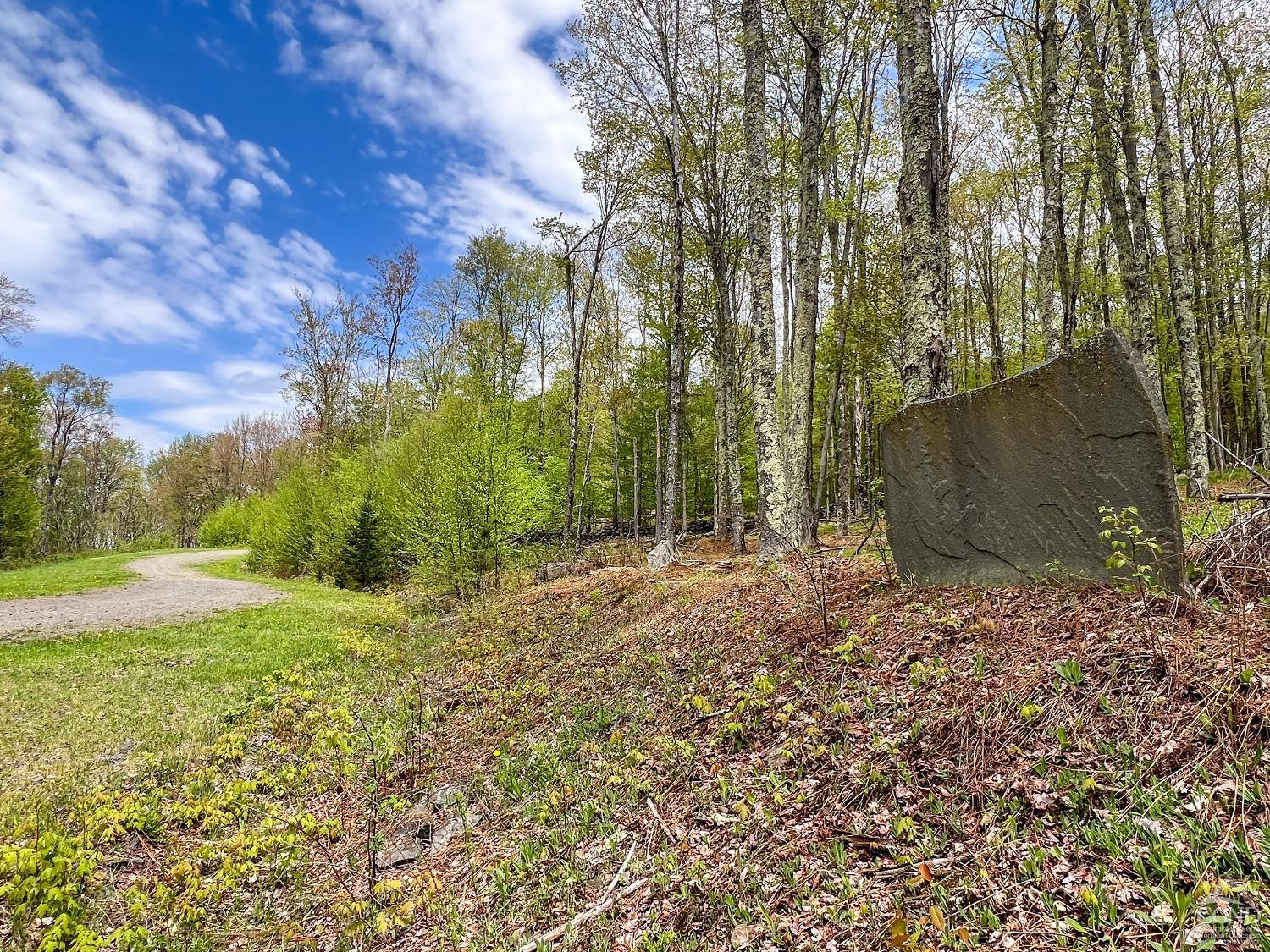 0 State Highway Andes, NY 13731 - Photo 42 of 90 Photo 42