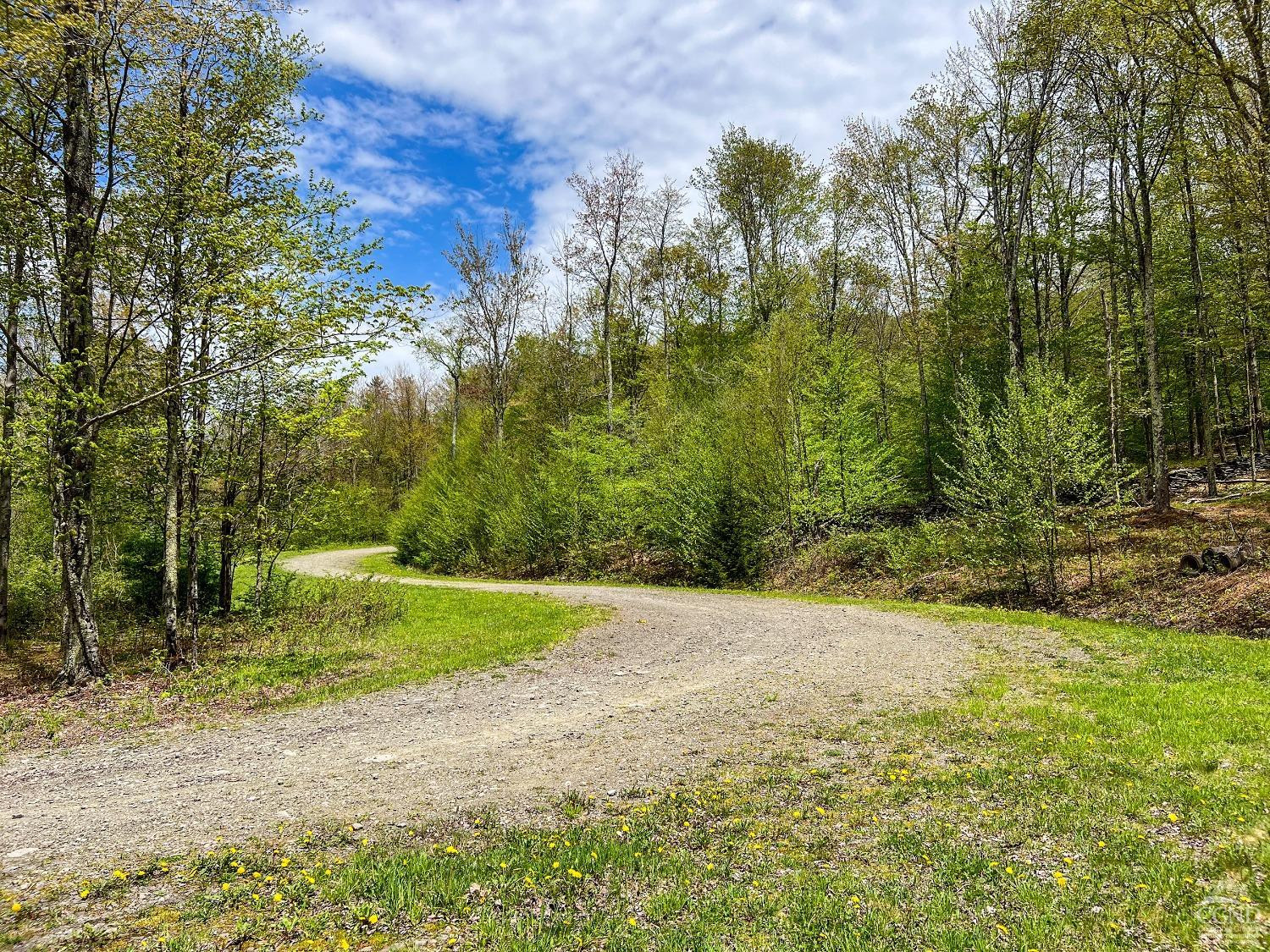 0 State Highway Andes, NY 13731 - Photo 43 of 90 Photo 43