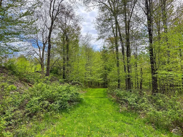 a view of backyard with green space