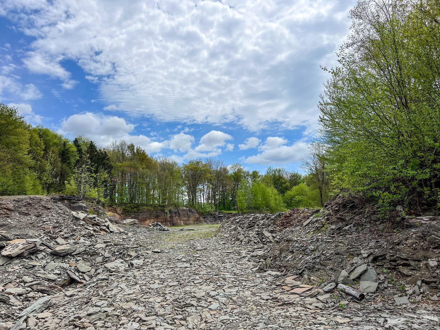 0 State Highway Andes, NY 13731 - Photo 46 of 90 Photo 46