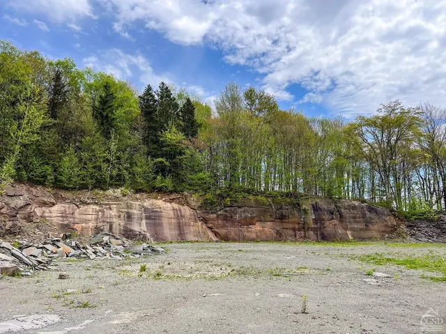 a view of a yard with trees