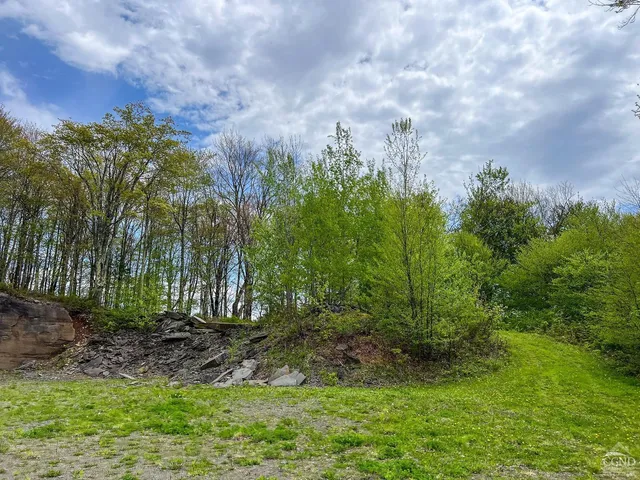 a large yard with lots of green space and trees