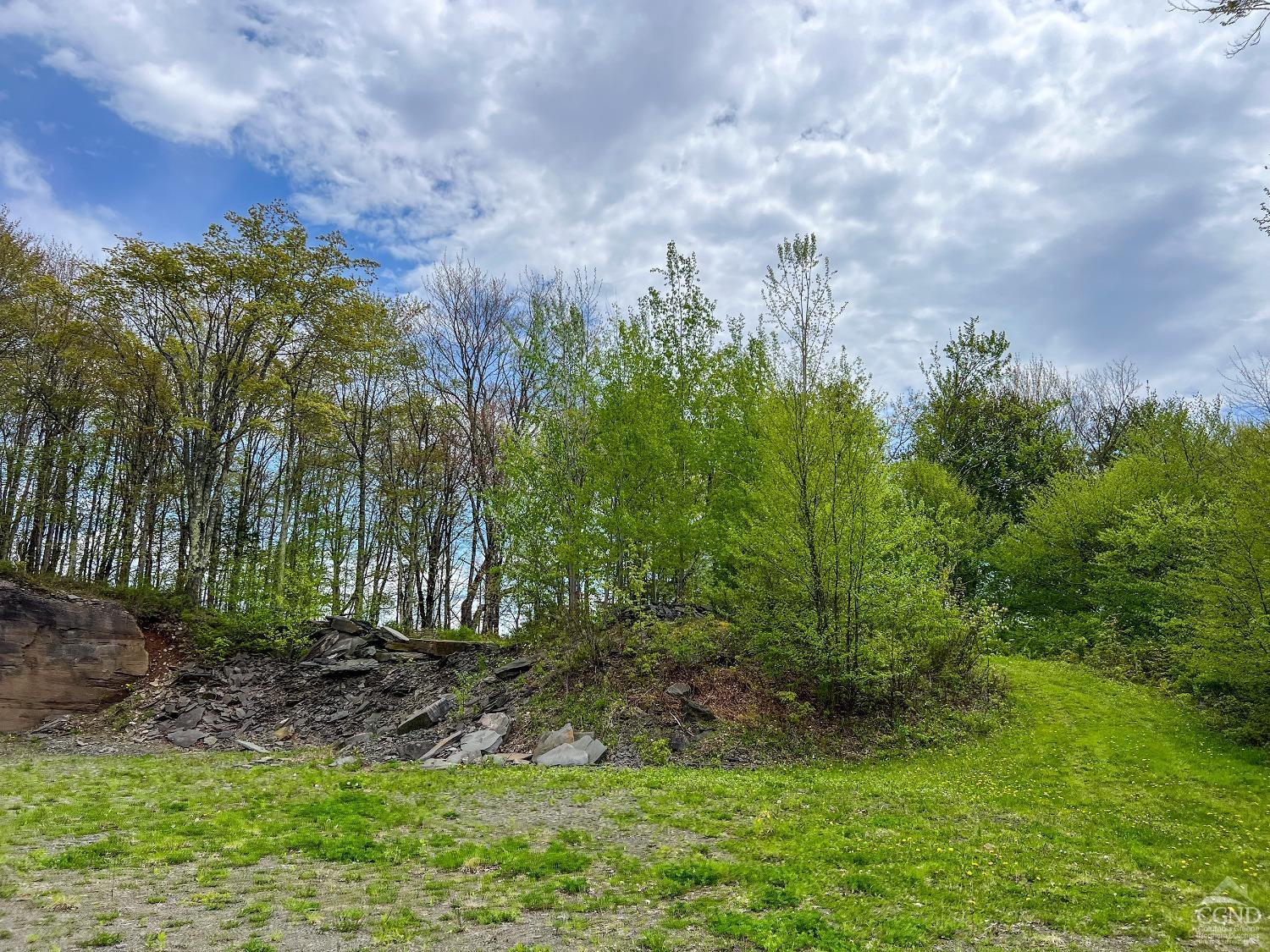 0 State Highway Andes, NY 13731 - Photo 48 of 90 Photo 48