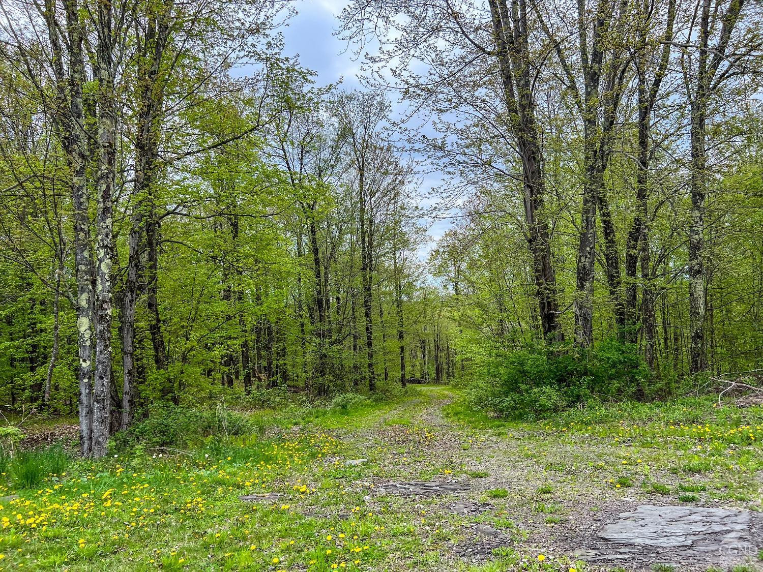 0 State Highway Andes, NY 13731 - Photo 49 of 90 a view of outdoor space and green space