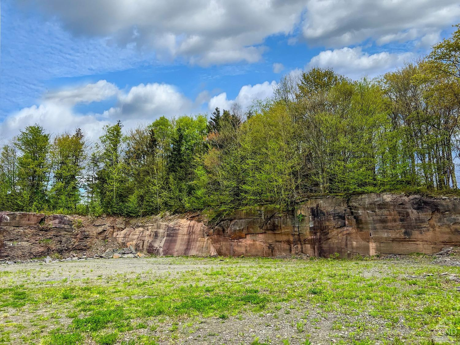 0 State Highway Andes, NY 13731 - Photo 50 of 90 a view of a yard with a house in the background