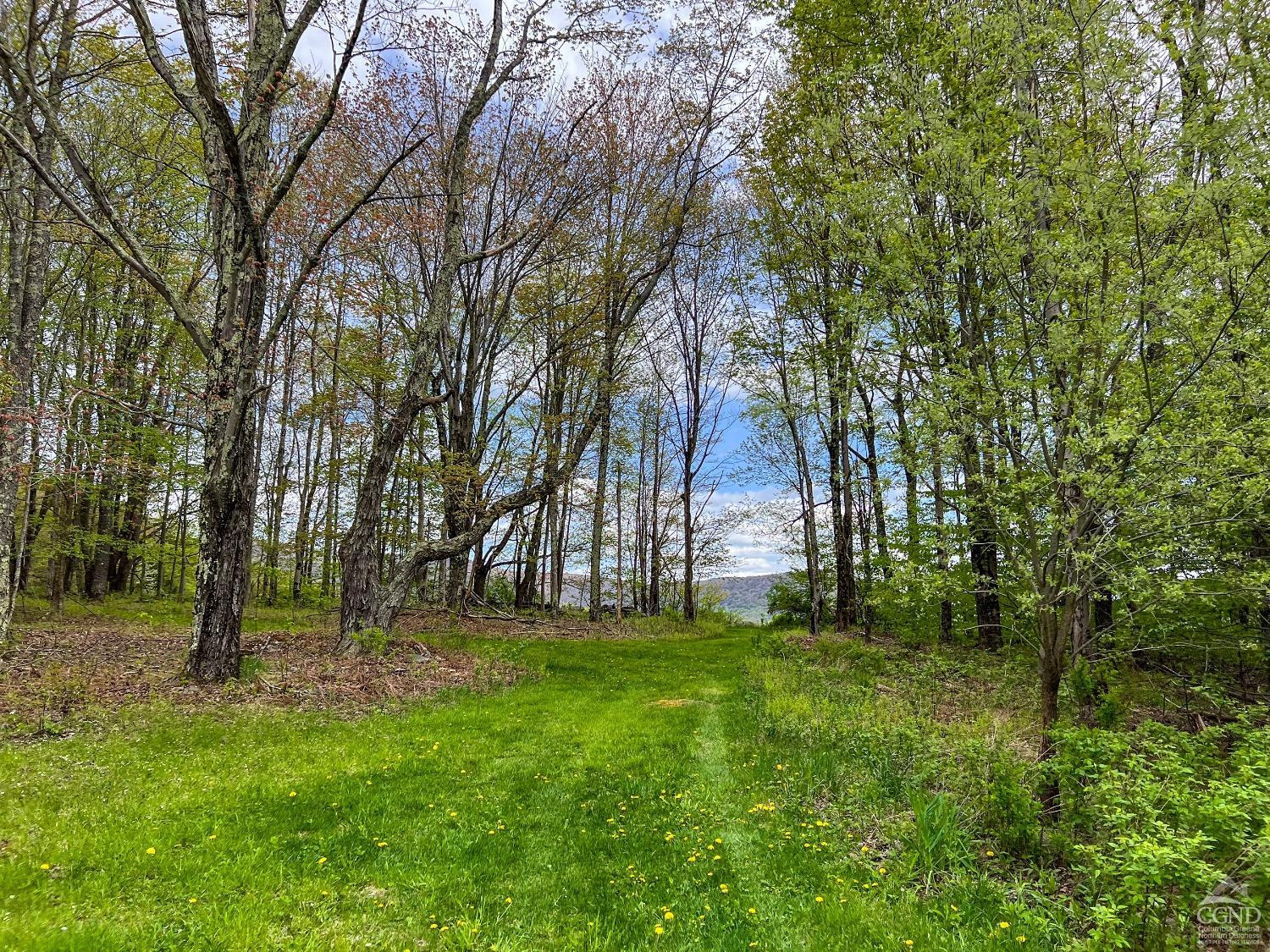 0 State Highway Andes, NY 13731 - Photo 51 of 90 a view of a tree in a yard