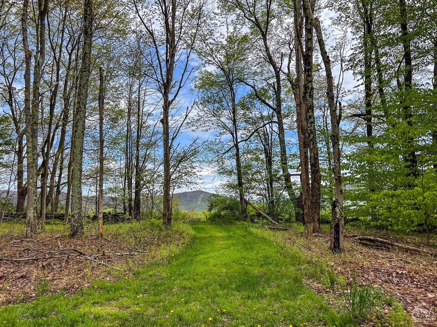 0 State Highway Andes, NY 13731 - Photo 53 of 90 a backyard of a house with lots of green space