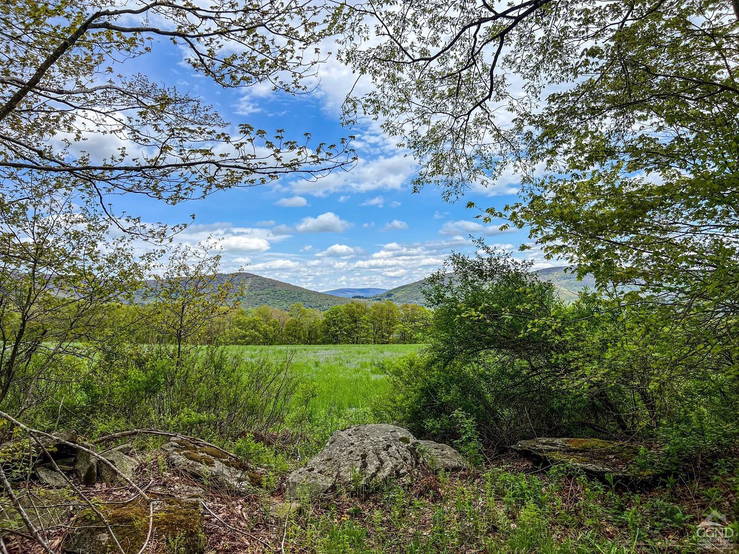 0 State Highway Andes, NY 13731 - Photo 54 of 90 a view of an outdoor space and a yard