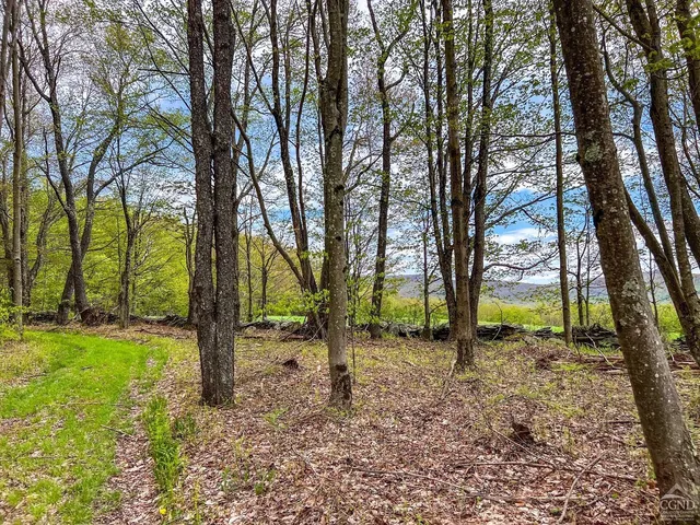 $670,000 | 0 State Highway, Andes, NY 13731