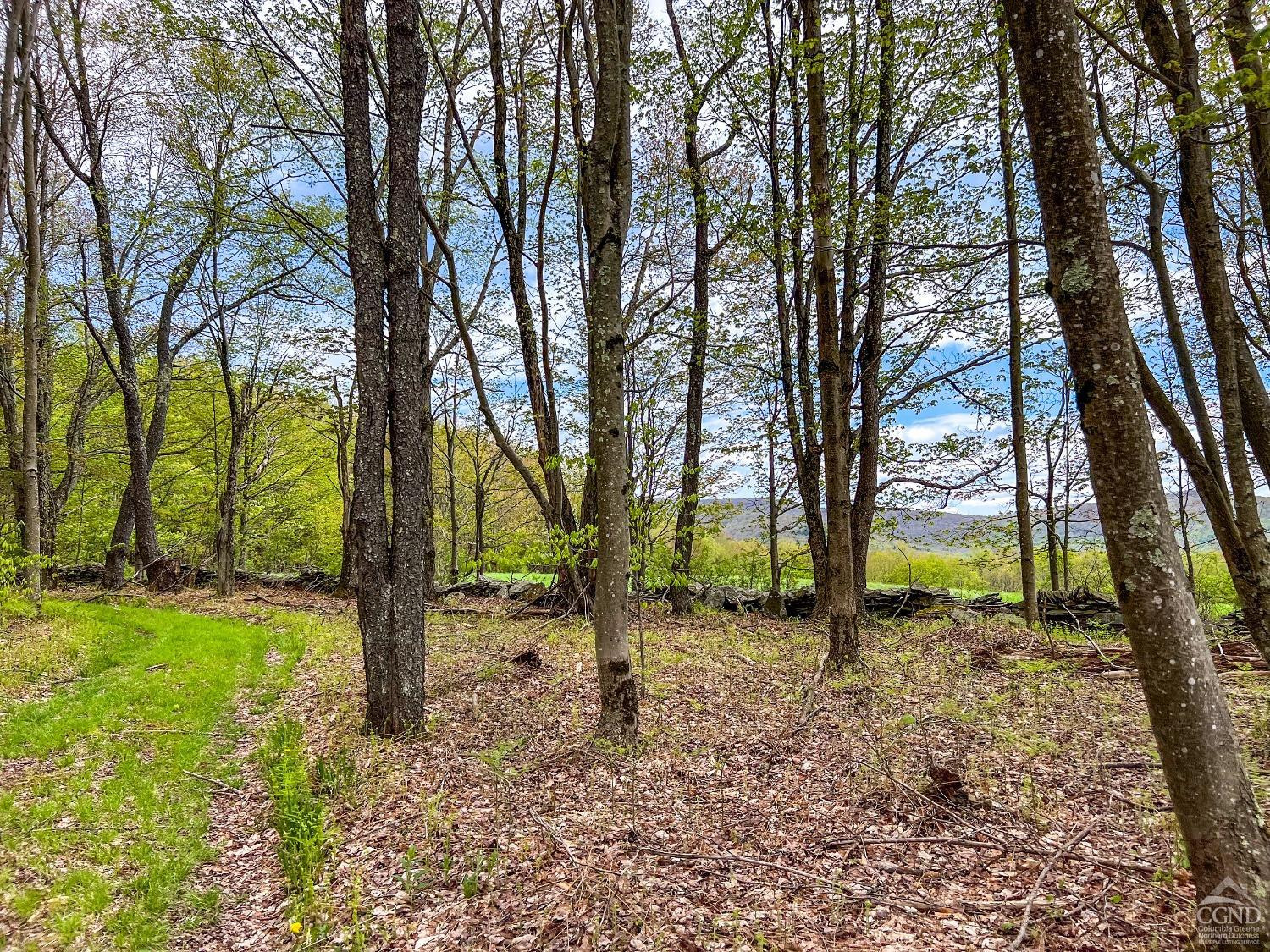 0 State Highway Andes, NY 13731 - Photo 56 of 90 a view of outdoor space with trees