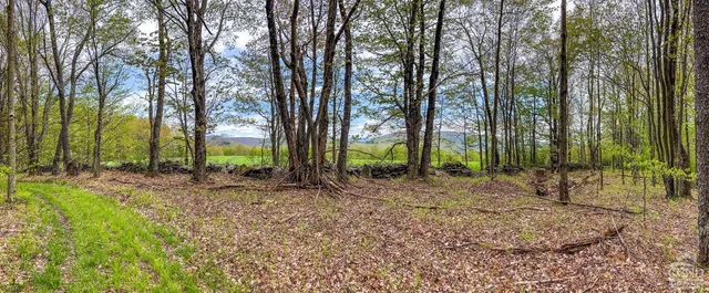 $670,000 | 0 State Highway, Andes, NY 13731