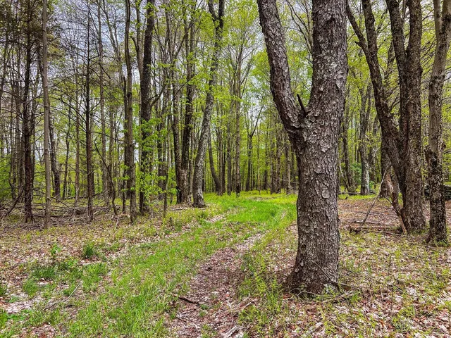 $670,000 | 0 State Highway, Andes, NY 13731