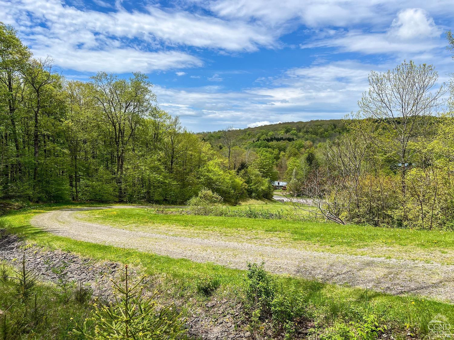 0 State Highway Andes, NY 13731 - Photo 6 of 90 a view of a yard with an trees
