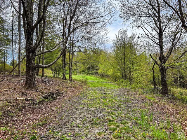 $670,000 | 0 State Highway, Andes, NY 13731