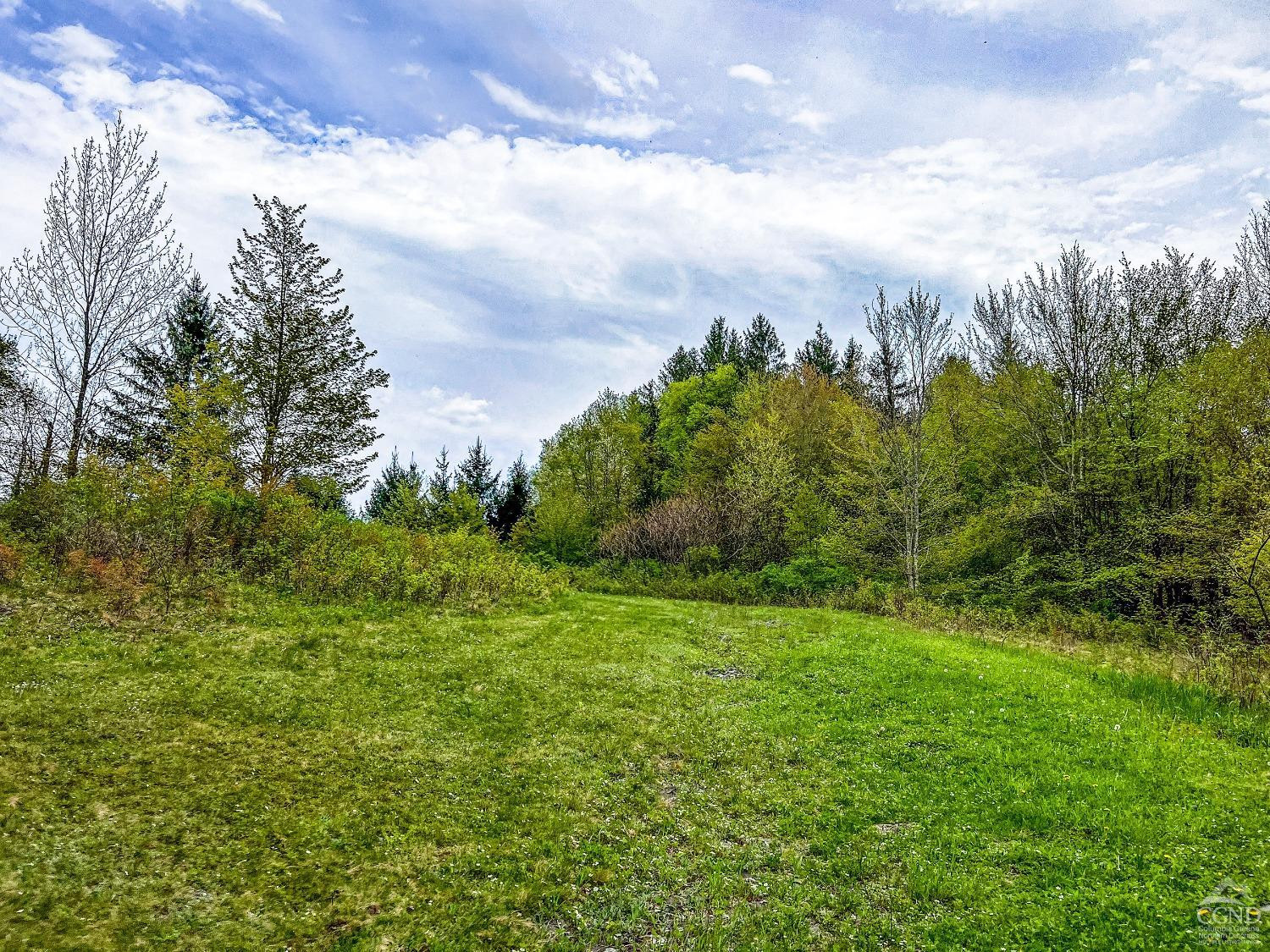 0 State Highway Andes, NY 13731 - Photo 63 of 90 a view of a big yard with plants and large trees