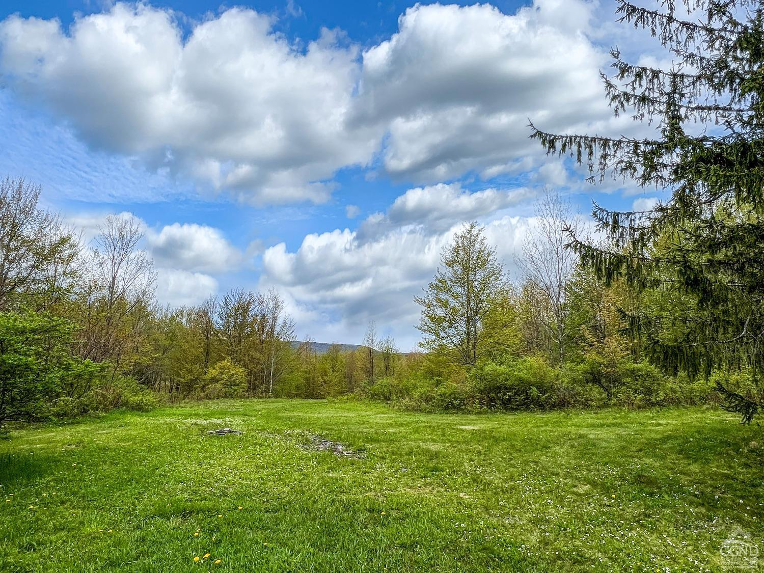 0 State Highway Andes, NY 13731 - Photo 65 of 90 Photo 65