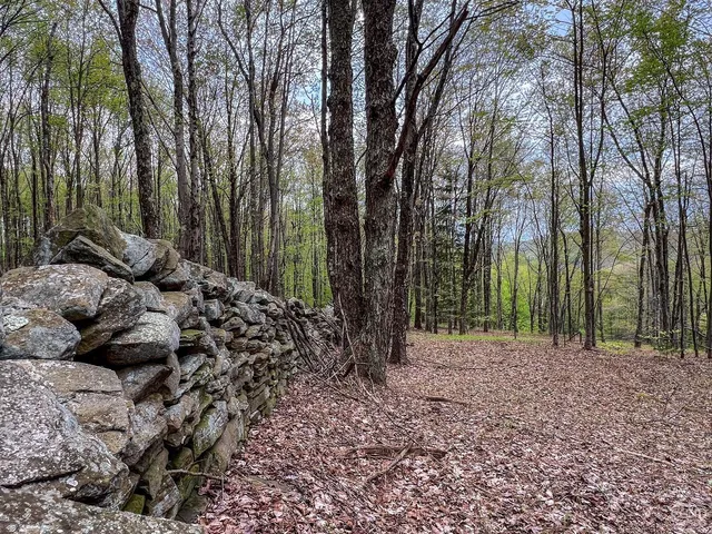 $670,000 | 0 State Highway, Andes, NY 13731