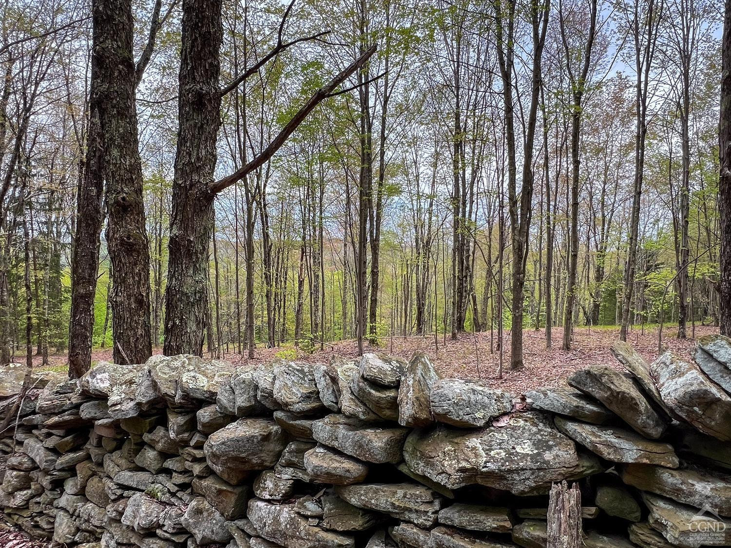 0 State Highway Andes, NY 13731 - Photo 71 of 90 Photo 71