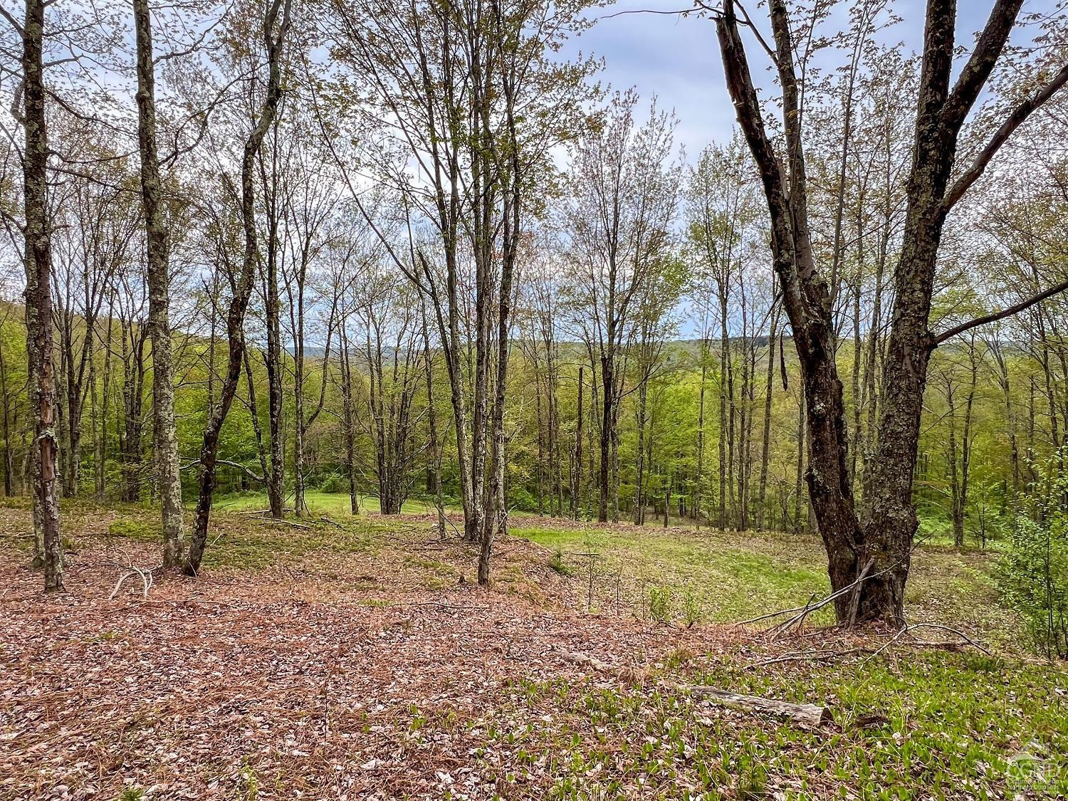 0 State Highway Andes, NY 13731 - Photo 72 of 90 a view of outdoor space with deck and trees