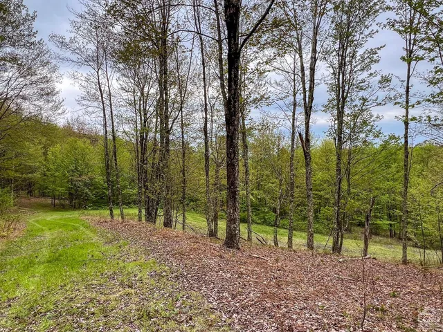 $670,000 | 0 State Highway, Andes, NY 13731