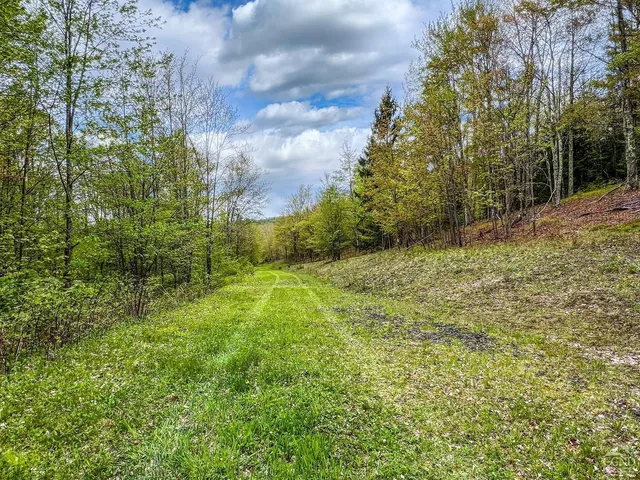 $670,000 | 0 State Highway, Andes, NY 13731