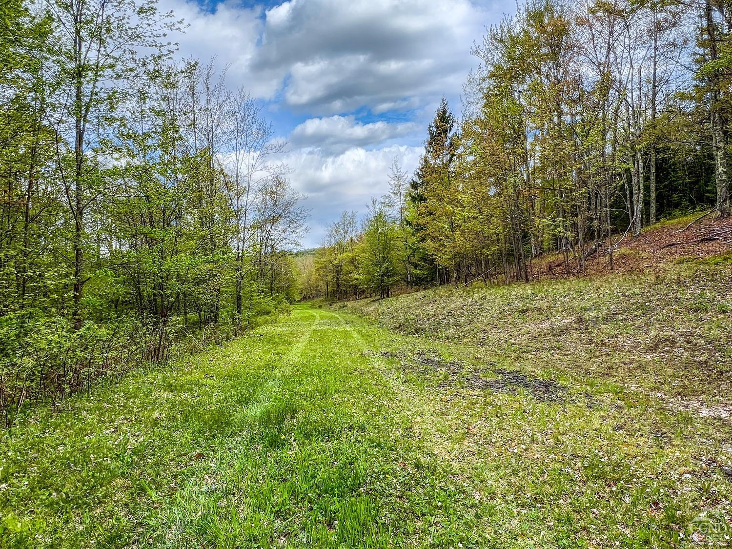 0 State Highway Andes, NY 13731 - Photo 74 of 90 Photo 74