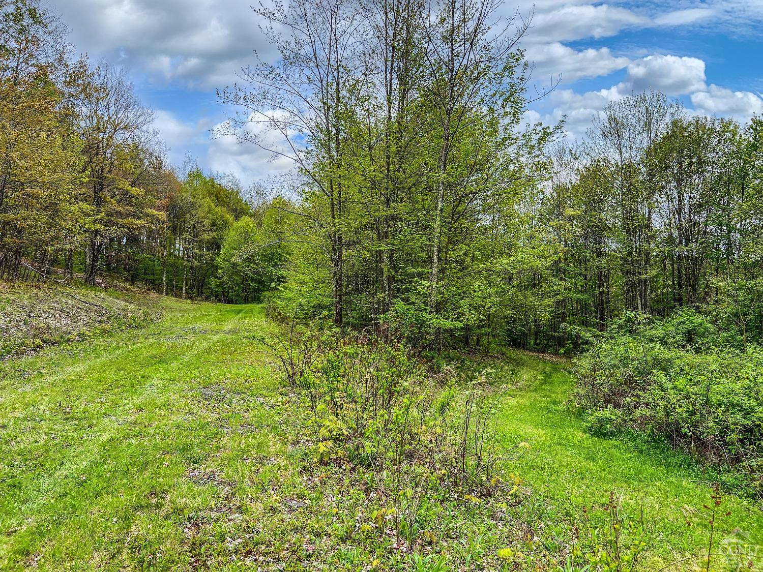 0 State Highway Andes, NY 13731 - Photo 75 of 90 a view of a garden with plants and large trees