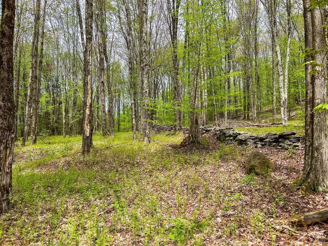 $670,000 | 0 State Highway, Andes, NY 13731