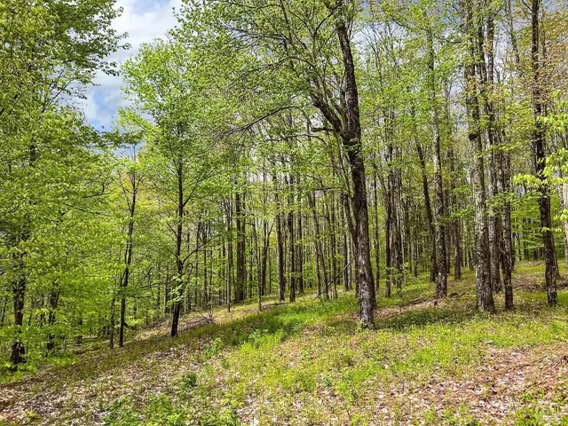 $670,000 | 0 State Highway, Andes, NY 13731