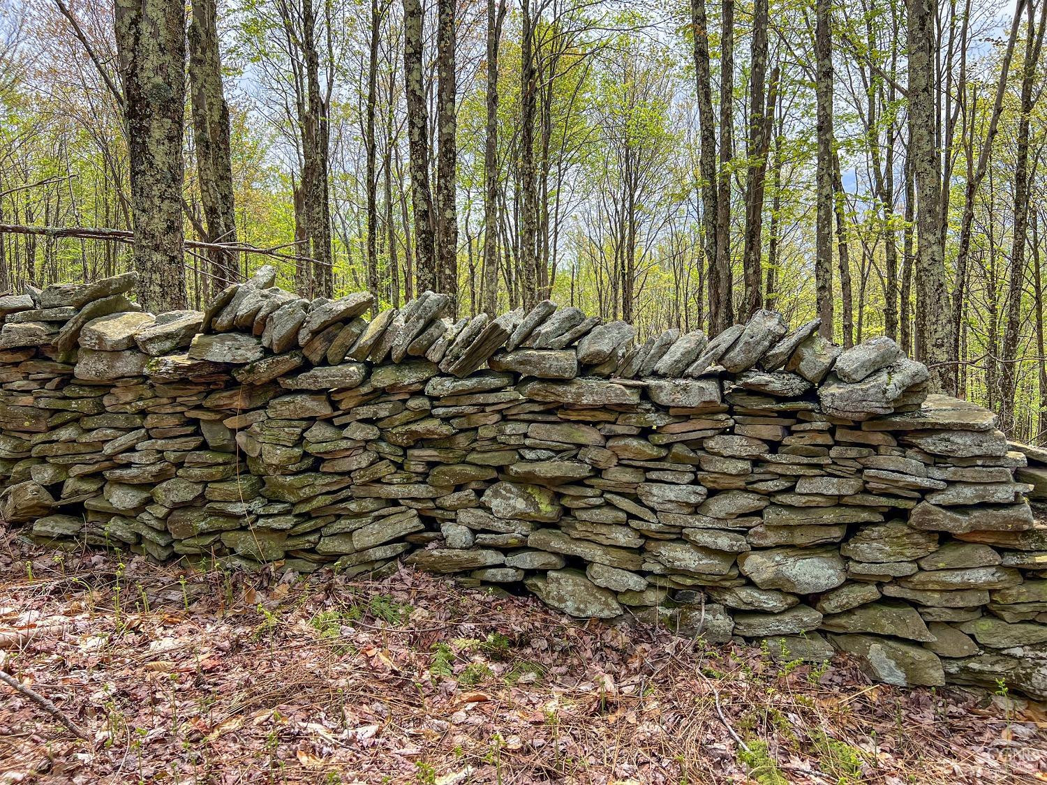 0 State Highway Andes, NY 13731 - Photo 78 of 90 Photo 78