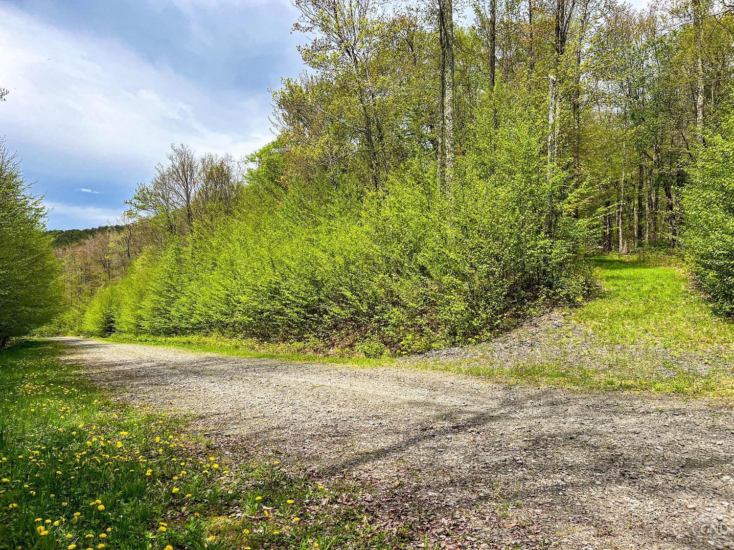 0 State Highway Andes, NY 13731 - Photo 79 of 90 a view of a yard with trees