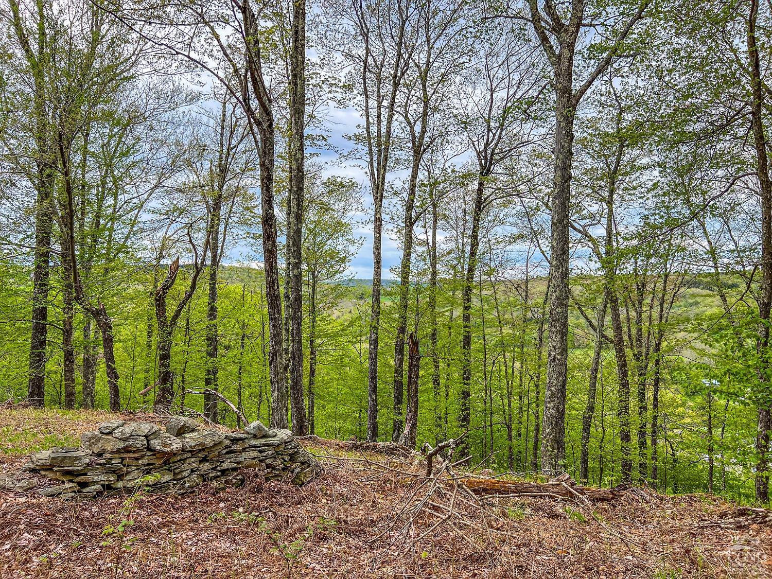 0 State Highway Andes, NY 13731 - Photo 80 of 90 Photo 80