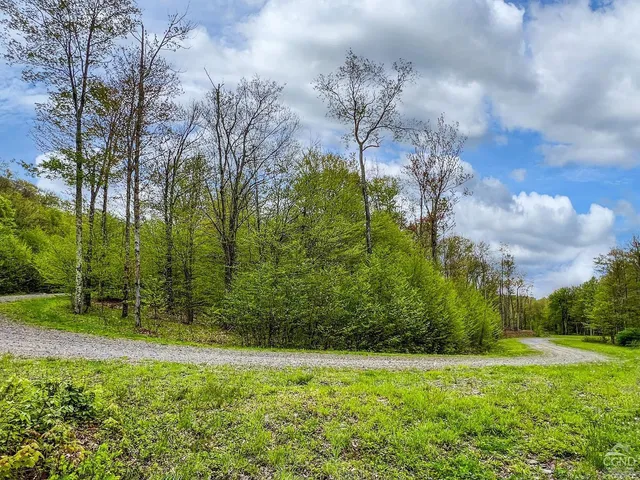 $670,000 | 0 State Highway, Andes, NY 13731